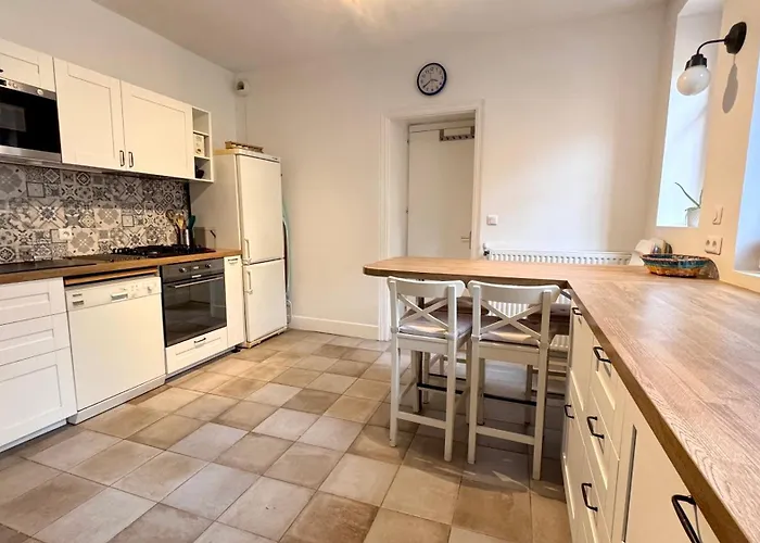 Large Downtown With Parking Appartement *