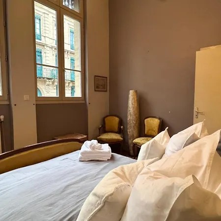 Apartmán Large Downtown With Parking Toulouse